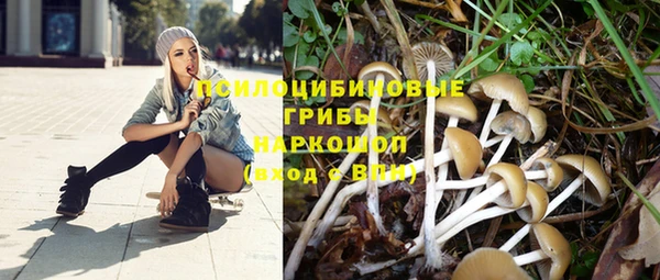 ECSTASY Алексин