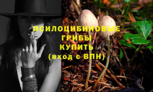 ECSTASY Алексин