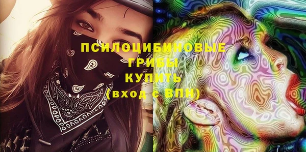 соль ск Алексеевка